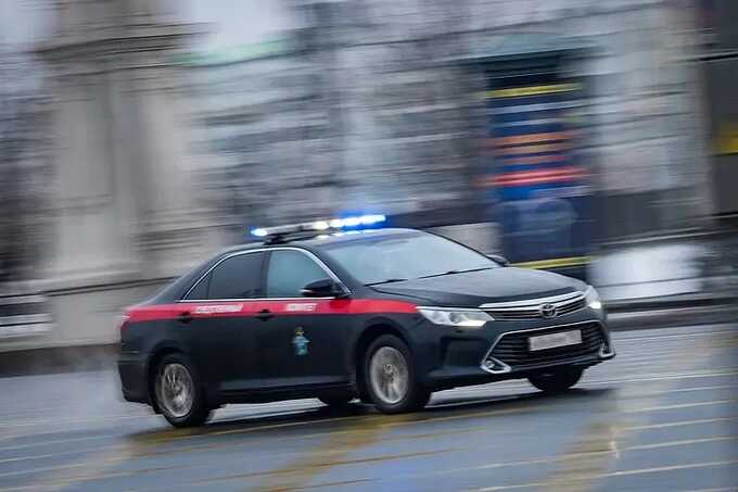 В Новой Москве в лесу нашли обгоревшее тело 75-летнего пенсионера