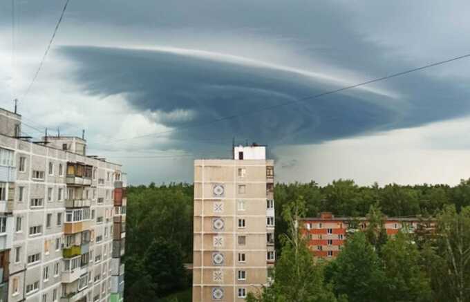 В Подмосковье беседка стала причиной гибели сотрудницы склада Ozone